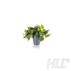 Trio PLANT Kiegészítők zöld
