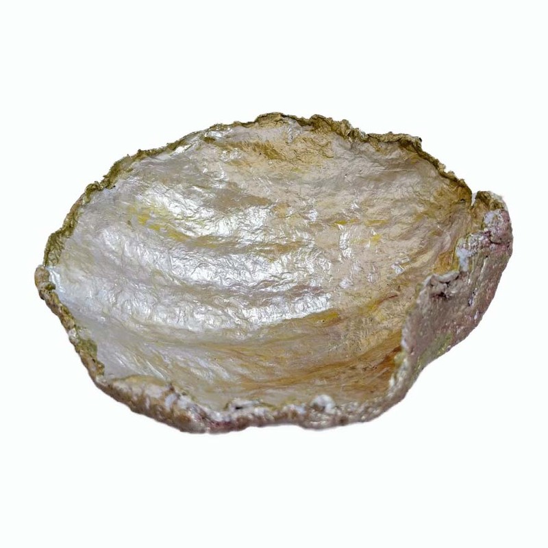 Kagyló tál